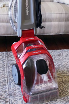Domestic house and carpet cleaning