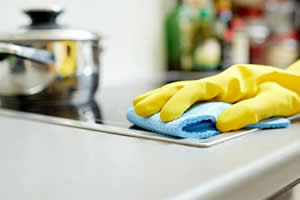 Domestic house cleaning holbeach