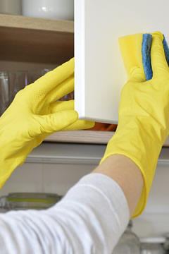 Domestic kitchen cleaning services